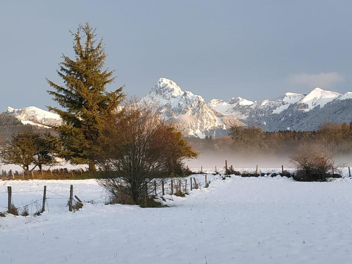 Maison D'Hotes Des Bassins D'Oche Saint-Paul-en-Chablais Exteriör bild