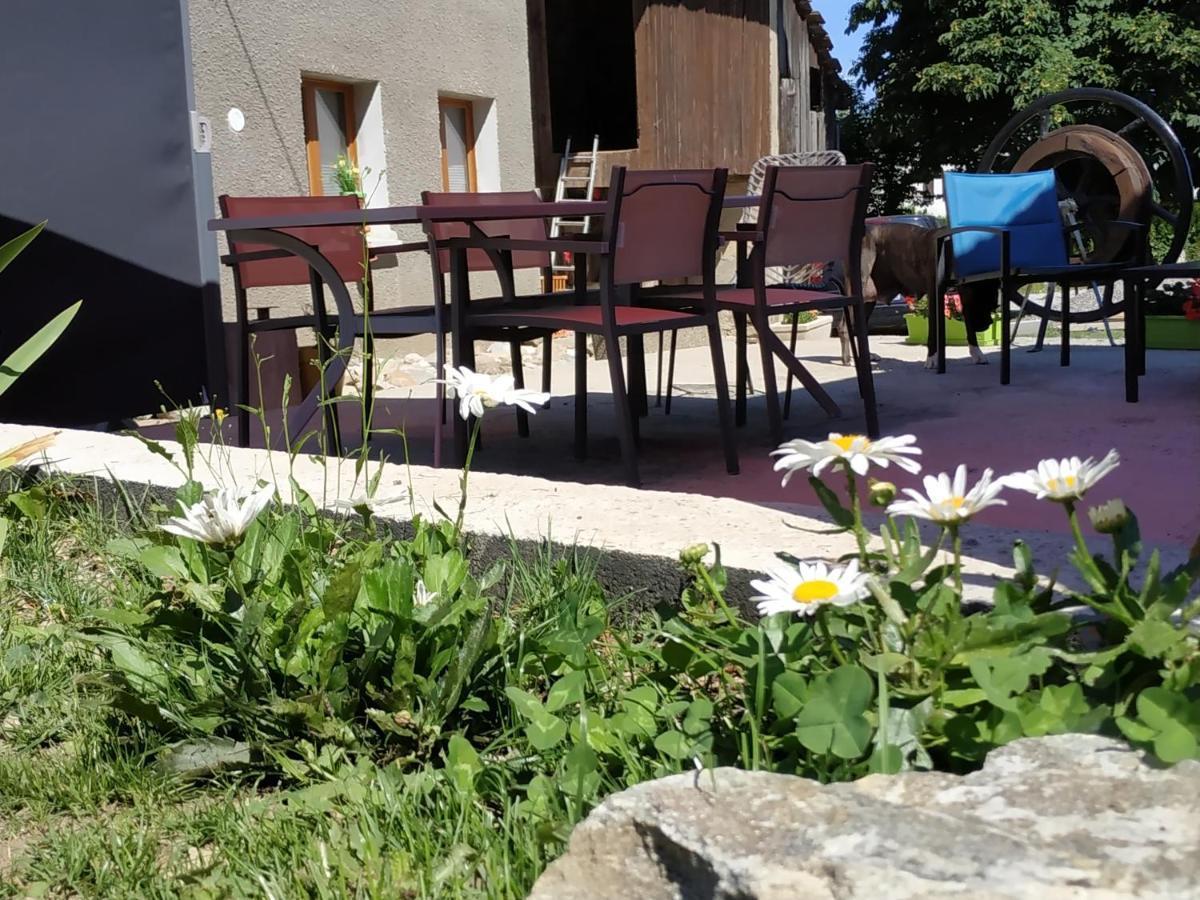 Maison D'Hotes Des Bassins D'Oche Saint-Paul-en-Chablais Exteriör bild